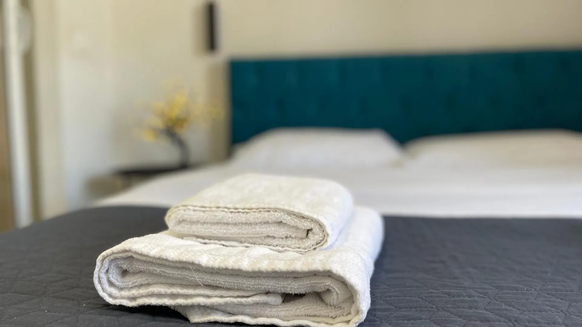 Boutique Central Studio Apartments Tiran